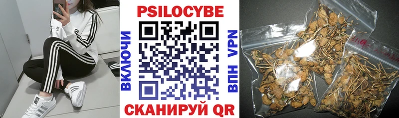 Галлюциногенные грибы GOLDEN TEACHER Мостовской